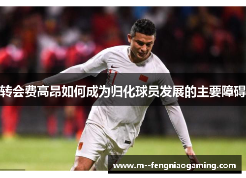 转会费高昂如何成为归化球员发展的主要障碍 转会费高昂如何成为归化球员发展的主要障碍