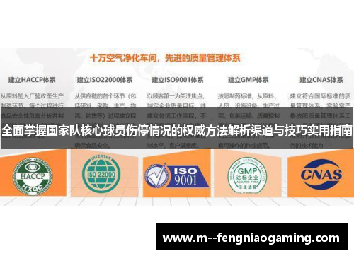 全面掌握国家队核心球员伤停情况的权威方法解析渠道与技巧实用指南