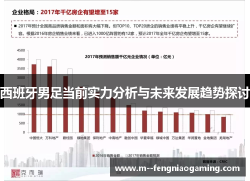 西班牙男足当前实力分析与未来发展趋势探讨