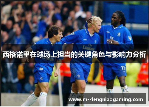 西格诺里在球场上担当的关键角色与影响力分析