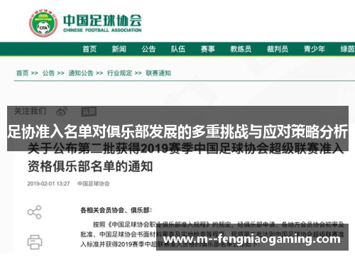 足协准入名单对俱乐部发展的多重挑战与应对策略分析