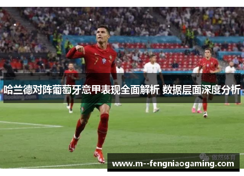 哈兰德对阵葡萄牙意甲表现全面解析 数据层面深度分析