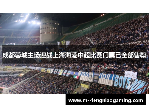 成都蓉城主场迎战上海海港中超比赛门票已全部售罄 成都蓉城主场迎战上海海港中超比赛门票已全部售罄