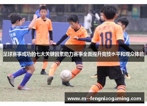 足球赛事成功的七大关键因素助力赛事全面提升竞技水平和观众体验