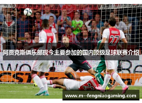 阿贾克斯俱乐部现今主要参加的国内顶级足球联赛介绍