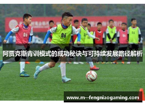 阿贾克斯青训模式的成功秘诀与可持续发展路径解析
