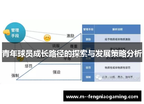 青年球员成长路径的探索与发展策略分析