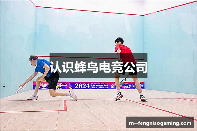 认识蜂鸟电竞公司